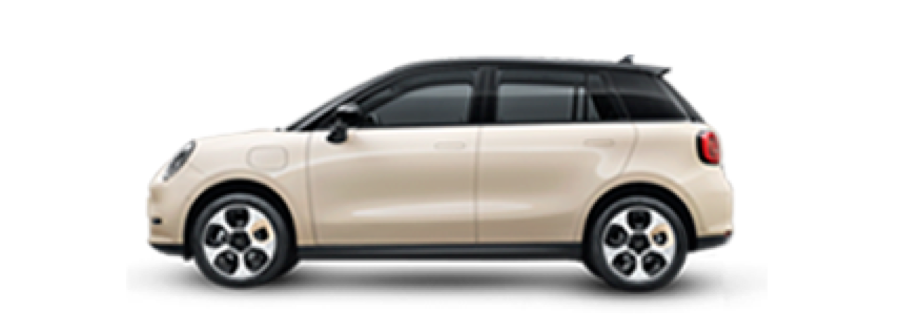 JAC E30X